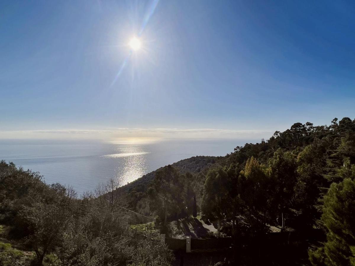 Magnifique 3 Pieces Vue Mer - Eze 아파트 외부 사진